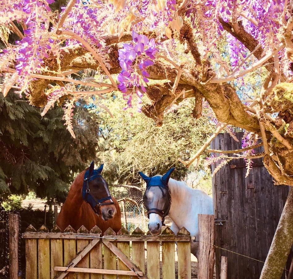 Red Gate Cottage Saulgond エクステリア 写真